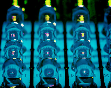 手机号狂轰滥炸软件